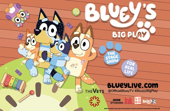 More Info for AT THE VETS: Bluey's Big Play
