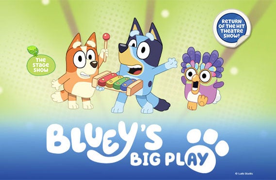 More Info for Bluey's Big Play